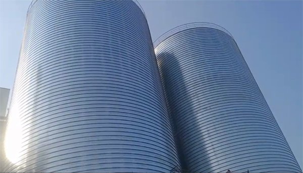 漯河2座混凝土高架卷板仓